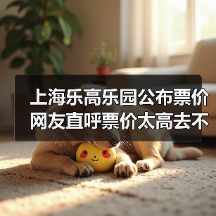 上海乐高乐园公布票价 网友直呼票价太高去不起！（图1）