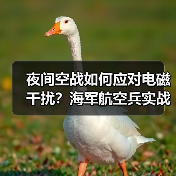 夜间空战如何应对电磁干扰？海军航空兵实战实训揭秘（图2）