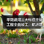 平陆运河三大枢纽主体工程全面竣工，航运建设迈入新阶段（图1）