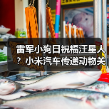 雷军小狗日祝福汪星人?小米汽车传递动物关怀(图3) 雷军小狗日祝福汪星人?小米汽车传递动物关怀(图3)