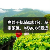 高端手机销量排名:苹果领跑,华为小米紧追,vivo OPPO荣耀分列前五(图3) 高端手机销量排名:苹果领跑,华为小米紧追,vivo OPPO荣耀分列前五(图3)