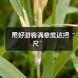 用好游客满意度这把“尺”(图4) 用好游客满意度这把“尺”(图4)