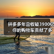 拼多多年营收破3900亿,你的购物车贡献了多少?(图4) 拼多多年营收破3900亿,你的购物车贡献了多少?(图4)