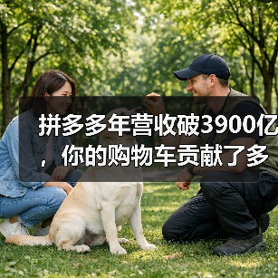 拼多多年营收破3900亿,你的购物车贡献了多少?(图3) 拼多多年营收破3900亿,你的购物车贡献了多少?(图3)