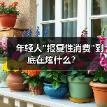 年轻人 年轻人