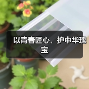 以青春匠心，护中华瑰宝