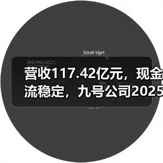 营收117.42亿元，现金流稳定，九号公