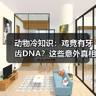 动物冷知识：鸡竟有牙齿DNA？这些意外真相大开眼界！（图1）