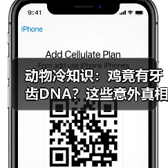 动物冷知识：鸡竟有牙齿DNA？这些意外真相大开眼界！（图3）