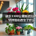 徒步3300公里抵达拉萨，坚持到底改变了什么？（图2）