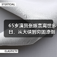 65岁演员张振寰离世多日，从大侠到穷困潦倒的人生沉浮（图2）