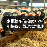乡镇停车位拍卖1.26亿引热议,管理难题如何破解?(图2) 乡镇停车位拍卖1.26亿引热议,管理难题如何破解?(图2)