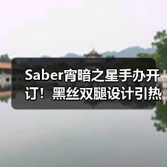 Saber宵暗之星手办开订!黑丝双腿设计引热议(图3) Saber宵暗之星手办开订!黑丝双腿设计引热议(图3)