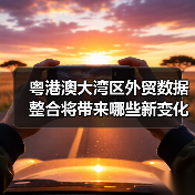 粤港澳大湾区外贸数据整合将带来哪些新变化？（图4）