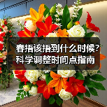 春捂该捂到什么时候?科学调整时间点指南(图2) 春捂该捂到什么时候?科学调整时间点指南(图2)