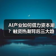 AI产业如何借力资本潮?融资热潮背后三大趋势显现(图4) AI产业如何借力资本潮?融资热潮背后三大趋势显现(图4)