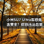 小米SU7 Ultra车标竟含黄金？抠标违法后果堪忧（图3）