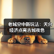 老城空中新玩法:天台经济点亮古城夜色(图2) 老城空中新玩法:天台经济点亮古城夜色(图2)