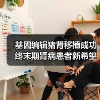 基因编辑猪肾移植成功 终末期肾病患者新希望点燃(图4) 基因编辑猪肾移植成功 终末期肾病患者新希望点燃(图4)