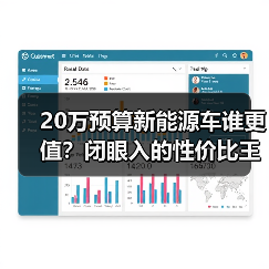 20万预算新能源车谁更值？闭眼入的性价比王者（图2）