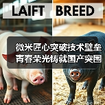 微米匠心突破技术壁垒 青春荣光铸就国产突