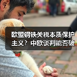 欧盟钢铁关税本质保护主义?中欧谈判能否破解贸易困局?(图2) 欧盟钢铁关税本质保护主义?中欧谈判能否破解贸易困局?(图2)