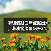 清明假期口岸数据出炉，港澳客流量飙升21
