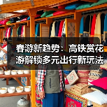 春游新趋势：高铁赏花游解锁多元出行新玩法