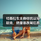 特斯拉车主换标抗议马斯克,销量暴跌背后真相曝光?(图4) 特斯拉车主换标抗议马斯克,销量暴跌背后真相曝光?(图4)