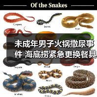 未成年男子火锅撒尿事件 海底捞紧急更换餐具(图1) 未成年男子火锅撒尿事件 海底捞紧急更换餐具(图1)