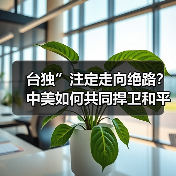 台独”注定走向绝路？中美如何共同捍卫和平？（图3）