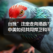 台独”注定走向绝路？中美如何共同捍卫和平？（图4）