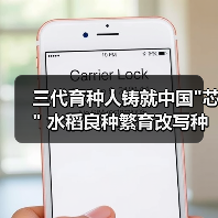 三代育种人铸就中国