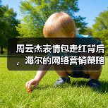 周云杰表情包走红背后,海尔的网络营销策略有何玄机?(图3) 周云杰表情包走红背后,海尔的网络营销策略有何玄机?(图3)