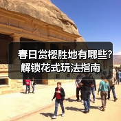 春日赏樱胜地有哪些?解锁花式玩法指南 春日赏樱胜地有哪些?解锁花式玩法指南