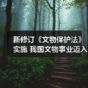 新修订《文物保护法》实施 我国文物事业迈入依法治理新时代(图3) 新修订《文物保护法》实施 我国文物事业迈入依法治理新时代(图3)