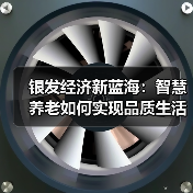 银发经济新蓝海：智慧养老如何实现品质生活？（图3）