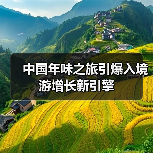 中国年味之旅引爆入境游增长新引擎（图4）