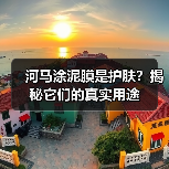 河马涂泥膜是护肤？揭秘它们的真实用途（图4）