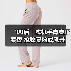 ‘00后’农机手青春逐麦香 抢收夏粮成风景（图1）