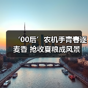 ‘00后’农机手青春逐麦香 抢收夏粮成风景（图3）