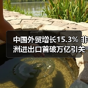 中国外贸增长15.3% 非洲进出口首破万亿引关注（图2）