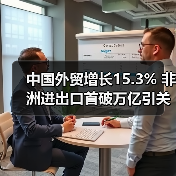 中国外贸增长15.3% 非洲进出口首破万亿引关注（图4）