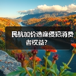 民航加价选座侵犯消费者权益？