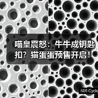喵皇震怒：牛牛成钥匙扣？猫蛋蛋预售开启！（图4）