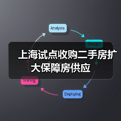 上海试点收购二手房扩大保障房供应（图4）
