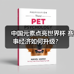 中国元素点亮世界杯 赛事经济如何升级？（图1）