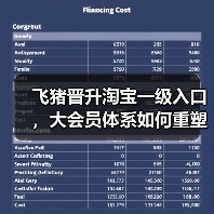 飞猪晋升淘宝一级入口，大会员体系如何重塑大消费版图？（图3）