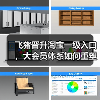 飞猪晋升淘宝一级入口，大会员体系如何重塑大消费版图？（图4）