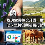 玫瑰空调争议升级，董明珠坚持创新能否打破市场僵局？（图2）